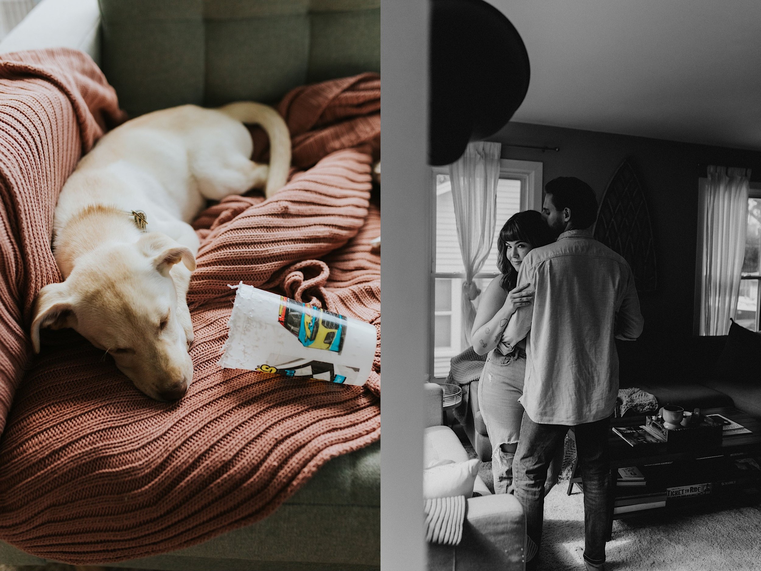 Left side image, a dog lays on a pink knit blanket while napping next to its' toy.  Right side image a couple embraces while standing in front of a window.  The wife looks directly at the camera, the image is in black and white.