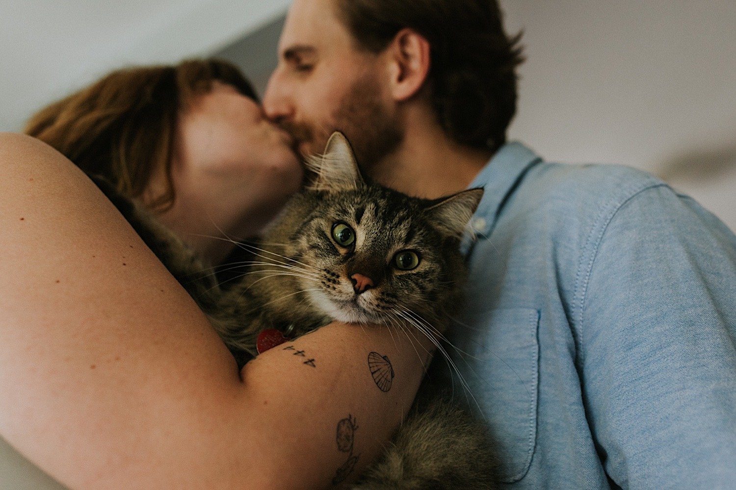 A couple embraces and kisses while holding their cat.  The cats' face is in focus, and the couple is kissing in the background.