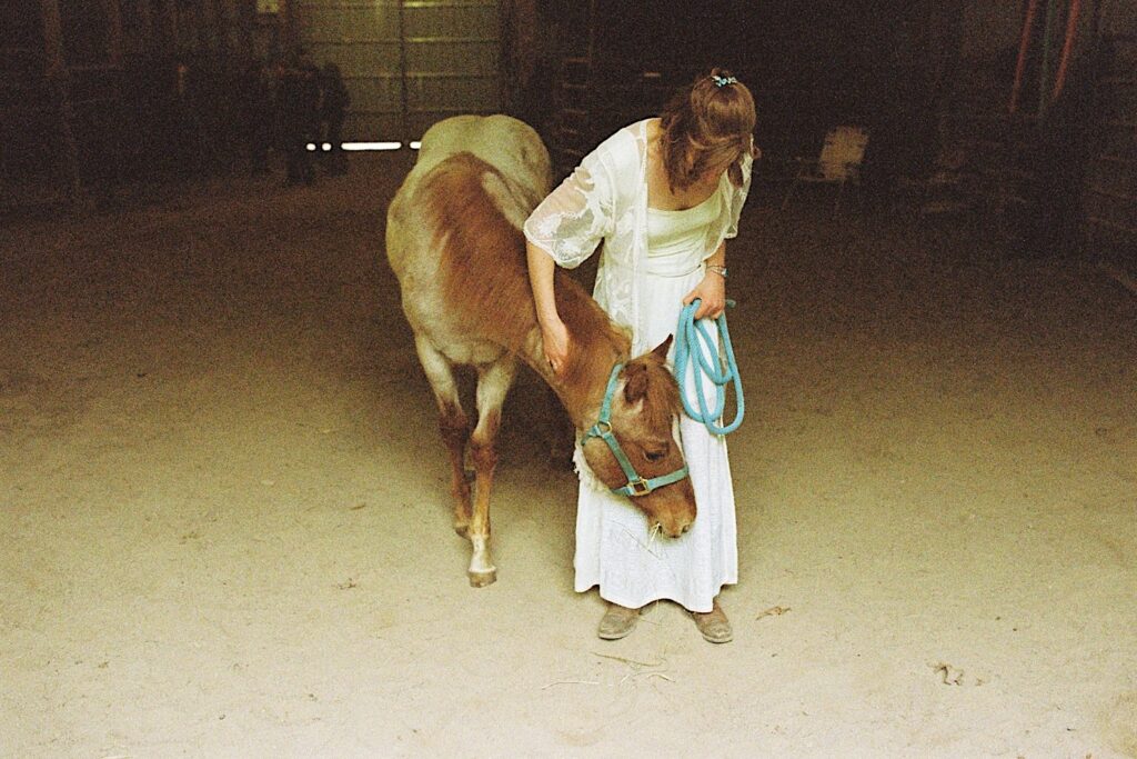 Film photo of a bride in her wedding dress petting a horse while standing in a barn
