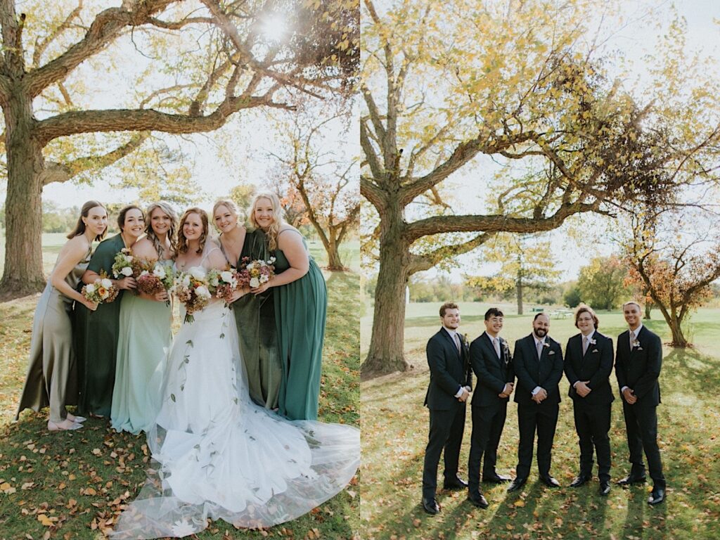 2 photos side by side, the left is of a bride and her bridesmaids smiling at the camera in a park, the right is of the groom and his groomsmen doing the same
