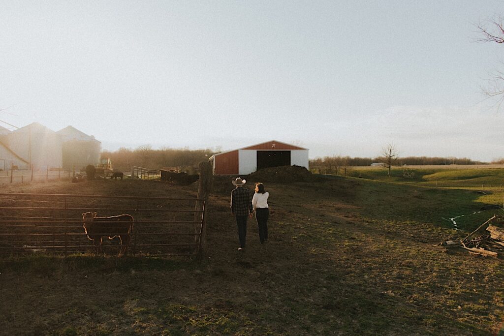 Couple walks towards red barn on a farm in Springfield Illinois for romantic farm engagement photos. 