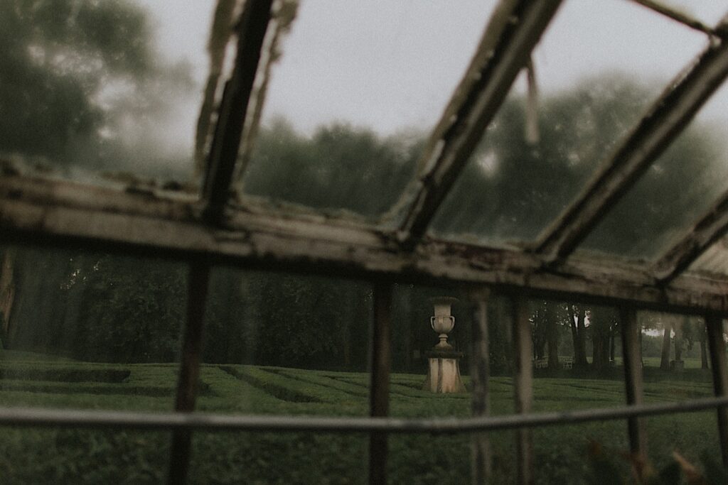 Taken from inside a green house, the portrait shows hedges in Allerton Park dusted by misty rain. 