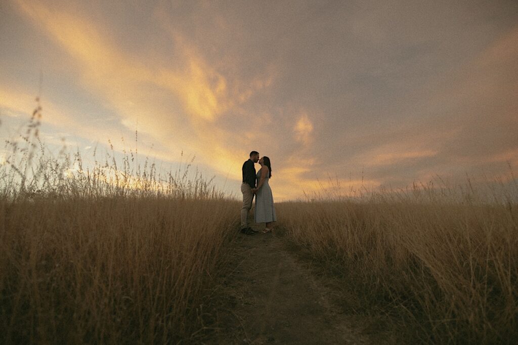 A couple kisses during sunset at an engagement session in Chicago in a field north of the city. 